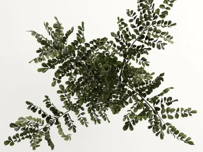 Branches in a vase 003 3D model