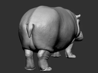 Animation ready  3d Hippo Model 3D model