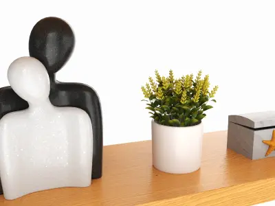 Floating Wooden Shelves with Decorations and Plants 3D model