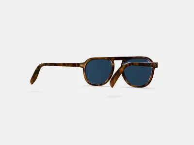 Blaise Sunglasses in Woodgrain Tortoise 3D model