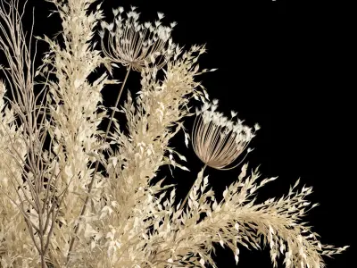 Dried flowers 01 3D model