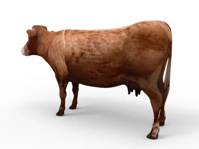 3D Red Cow Rigged Model  Low-poly 3D model