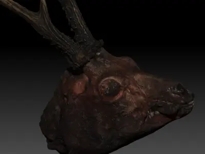 Skinned Deers Head High Detail Scan With Texture 3D model 3D model