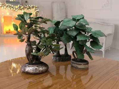 Bonsais Pack 3D model