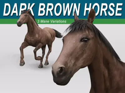 Horse - Dark Brown 3D model