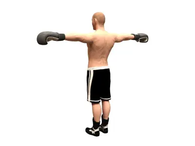 boxer rig Low-poly 3D model