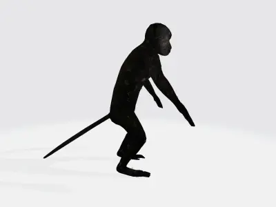 Macaque humanoid creature 3D model