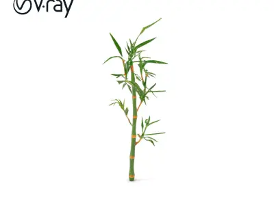 Bamboo Plant Model Pack Low-poly 3D model