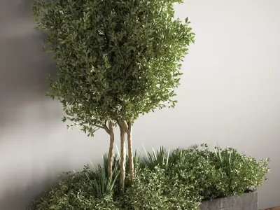 outdoor plant set 08 3D model
