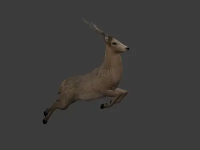 Next Gen AAA Royal Deer - Rigged Low-poly 3D model