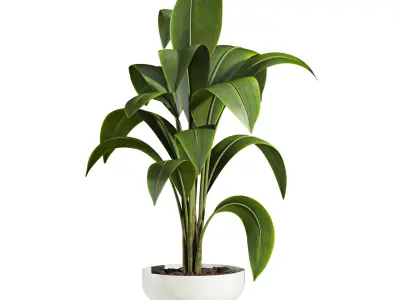 Plants  3D model purchase