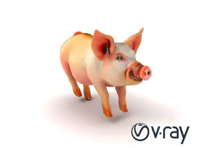 Pastoral Sheep Fluffy Grazing Stance model pack Low-poly 3D model