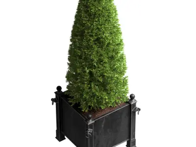 Decorative tree in garden planter RH ArtDeco Front Patio  3D model