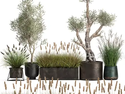 Outdoor plants in a rust flowerpot for the interior 1000 3D model
