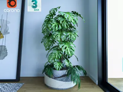 Monstera and Palm plant 3D model