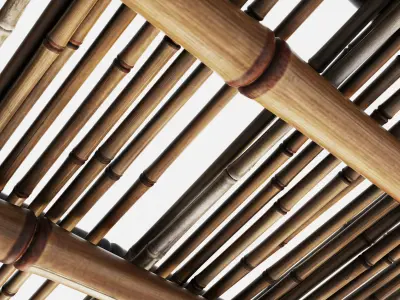 Branch bamboo long low n2 3D model