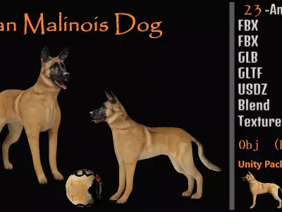 Belgian Malinois Dog Low-poly 3D model
