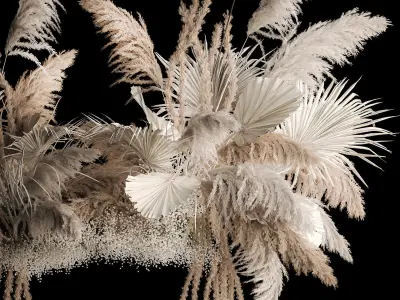 Hanging Bouquet Of Dry Reeds For Decoration 257 3D model