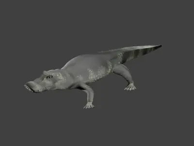 lowpoly Caiman alligator Low-poly 3D model