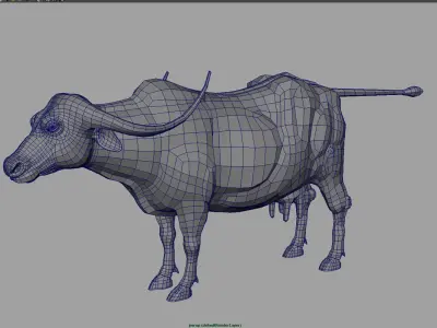 buffalo cow 3d model 3D model