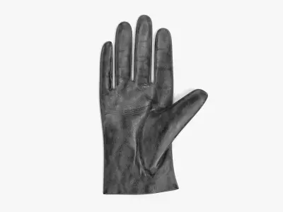 -Leather Gloves - Women- 3D model