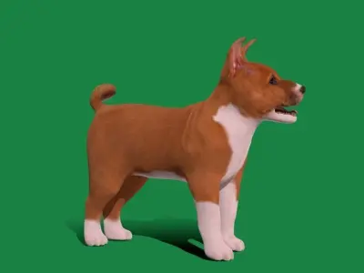 Basenji Puppy Dog Low-poly 3D model