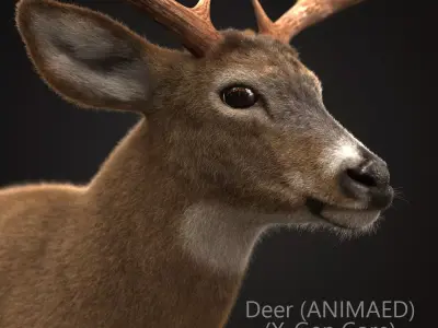 Deer ANIMATED XGEN CORE 3D model