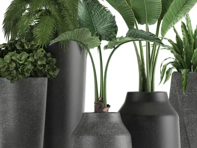 Collection of decorative plants in flowerpots 825 3D model