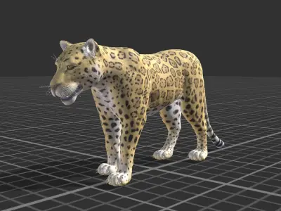 Jaguar 3D model