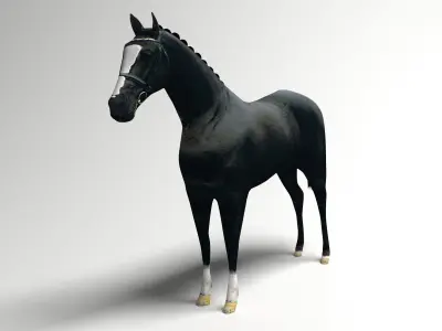 Black Horse 3D model