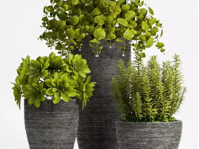 Decorative plant set-68 3D model