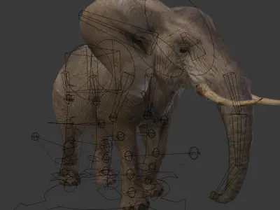 Walking Old African Elephant Low-poly 3D model