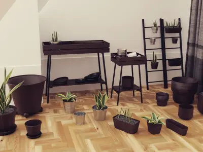 Plants pots collection vol 03 Low-poly 3D model