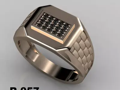 50 plus Mens Luxury Ring Collection  3D print model