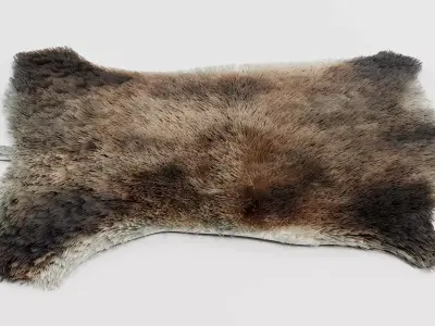 Boar Skin Rug - Realistic Animal Hide 3D model