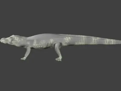 lowpoly Caiman alligator Low-poly 3D model