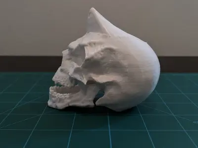 Skull 3D print model