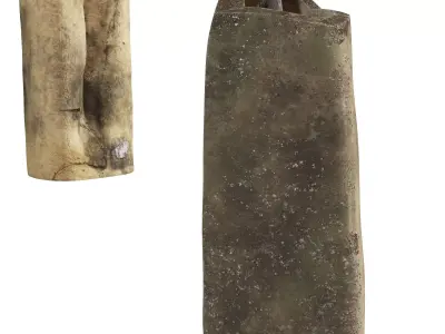 Dry Bouquet Pottery Pot 3D model