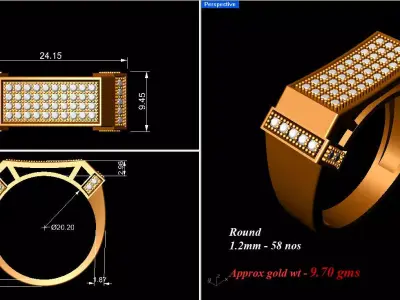 Gold Rashee 3D model