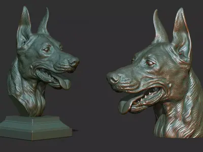 Doberman head 3D print model