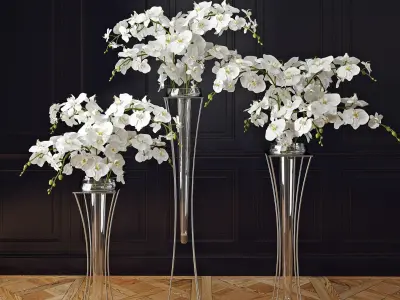 Orchid three vases with orchids 3D model