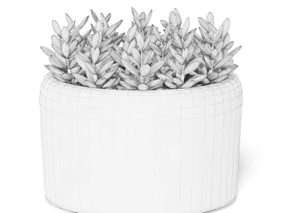 Plant in Stone Pot 3D Model 3D model