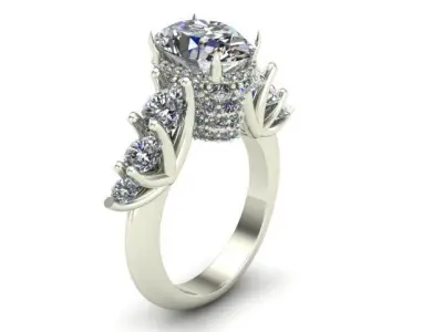 Engagement Ring With Oval and Rounded Diamonds  3D model