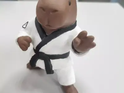 Capybara Sensei 3D print model