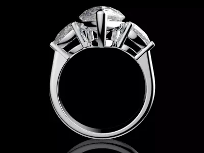 Gold N1582 3D print model