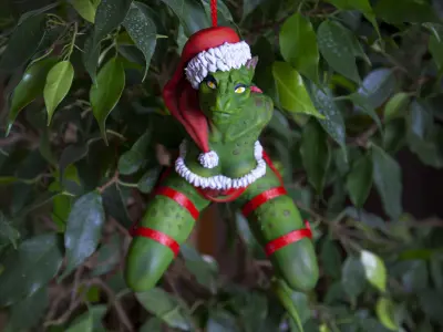 The Argonian Maid 3D print model