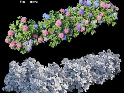 Hydrangea Plant set 26 3D model