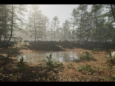 MAE Beech Forest - UE4 and UE5 Low-poly 3D model