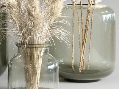 Collection Dry Plants Bouquet Indoor 09 3D model