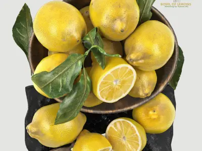 bowl of lemons 3D model